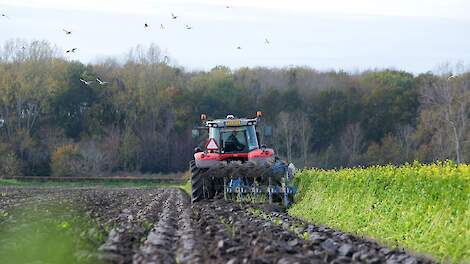 GLB-betalingen: Eco-regelingen 2025 vallen tien procent lager uit, Wiersma stemt in met vereenvoudigingsvoorstel Europese Commissie