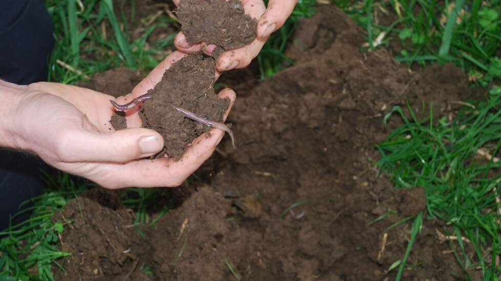 Mooie structuur met duidelijk veel pendelaars.