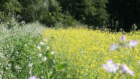 Regeneratieve landbouw: marketing term of meetbare praktijk?