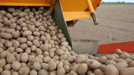 Augustus 2025: Faillissement CêlaVíta zorgt voor onzekerheid