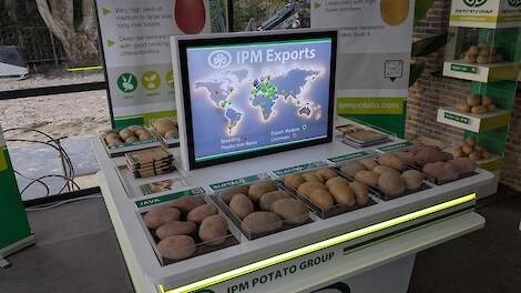 Fotoserie: Rassenshows 2025 in beeld (deel 3)