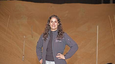 Het jaar van een prijswinnend Gronings graanconcept: Buseman maakt goud gerst zichtbaar