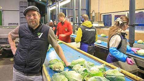 Teelt vollegrondsgroenten staat onder druk: Samenwerking moet sector kansen geven