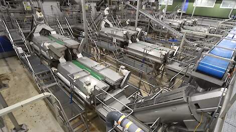 Productielijnen CêlaVíta onder de digitale veilinghamer