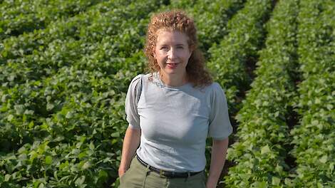 Biologisch keurmerk verdwijnt van HAK-potjes