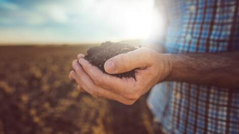 De stille revolutie in gewasbescherming