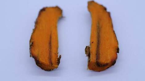 Strengere controles op kurkuma om bruinrot-bacterie buiten de deur te houden