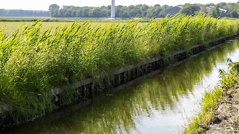 ‘Waterkwaliteit in 13 jaar niet verbeterd en op sommige plekken zelfs verslechterd’
