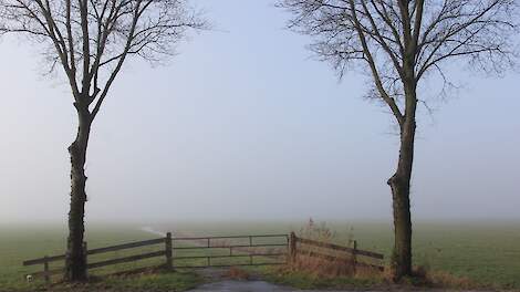 Column: Voor hulp zijn er organisaties die steun verdienen