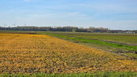 Alternatieven voor glyfosaat