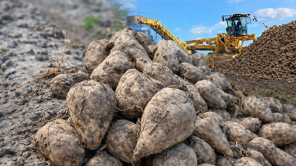 Dit waren de drie best gelezen artikelen van 2025 op Akkerwijzer.nl