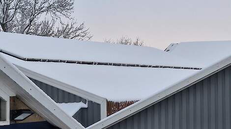 Tips om schade aan boerenbedrijf door sneeuw en vorst te voorkomen