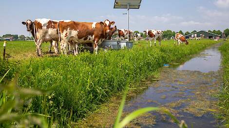 Column: Leegvegen platteland staat of valt met ‘discutabele’ zienswijze