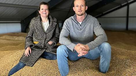 Biologisch brood van Nederlandse tarwe ligt voortaan in de Albert Heijn: 'Kwam nauwelijks voor'
