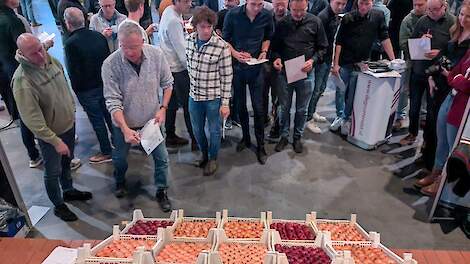 Veiling voor Oekraïne: Kistje met mooiste bewaarui levert 20.000 euro op