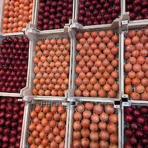 De kistjes met uien, waarvan de top drie uiteindelijk werd geveild voor het goede doel.