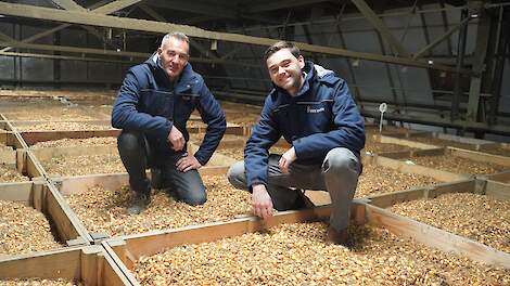 Alles in de strijd om Fusarium de baas te blijven
