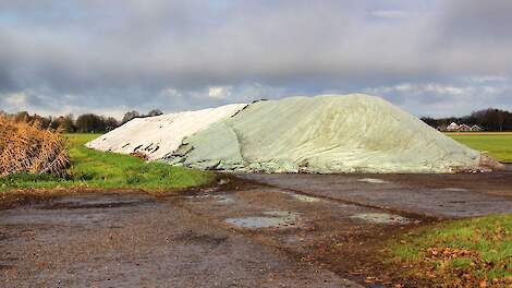Einde bietencampagne nadert: Vorstadviezen goed opgevolgd en suikerhalte blijft van hoog niveau