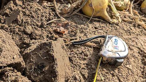 Eerste verplichte bijdrage uienteelt aan akkerbouwonderzoek