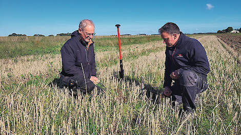 Compostthee werkt alleen met de juiste randvoorwaarden