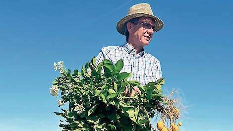 SBR rukt steeds verder op in Duitse bietenpercelen