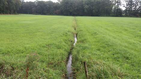 Stoppen met bemesting voor natuur lang niet altijd zinvol