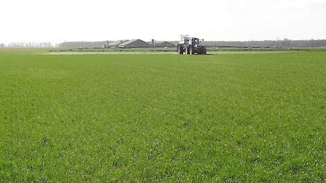 Nieuwe herbicide-combinatie tilt onkruidbestrijding in wintertarwe naar hoger niveau