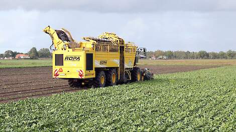 'Suikerbietenteelt is niet uitspoelingsgevoelig'