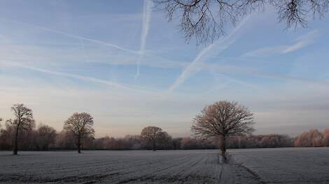Landbouw reageert wisselend op plannen nieuw kabinet: 'Valt over te praten', maar ook 'beleid zorgt voor krimp'