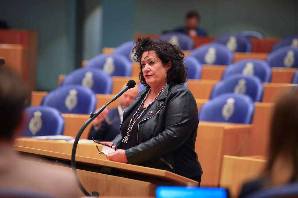 Caroline van der Plas in de Tweede Kamer