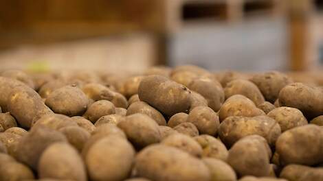Verkennende gesprekken tussen PotatoNext en handelaar Jansen-Dongen