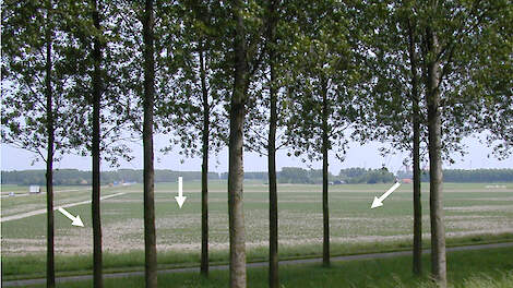 Aaltjesbeheersing in 2030