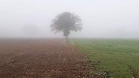 Consultatie nieuwe pachtwet loopt af: dit zijn belangrijke aandachtspunten voor telers