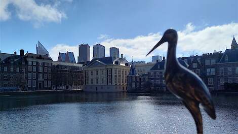 Postenverdeling bekend: D66 mag minister van Landbouw leveren, staatssecretaris komt van VVD-huize