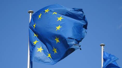 Europese Rekenkamer: Nieuw GLB zet gelijk speelveld in Europa onder druk