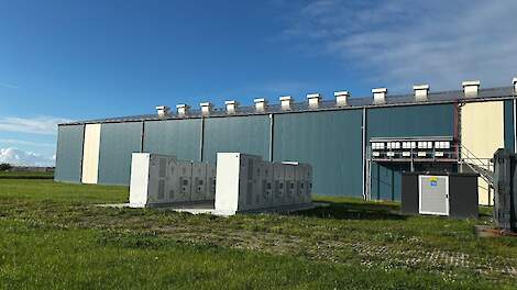 Bollenbedrijf zet overtollige zonne-energie om in groene waterstof