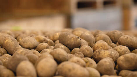 Ingrijpen in de aardappelmarkt is moeilijk