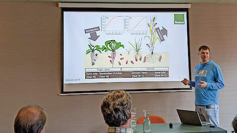 ‘Wintertarwe vormt de zwakke link’