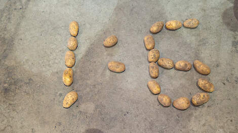 Wat is de les van één op zes?