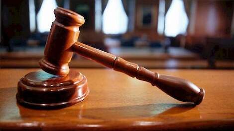 Tijdelijke huisvesting van seizoensarbeiders in Dronten moet wijken vanwege spuitzone