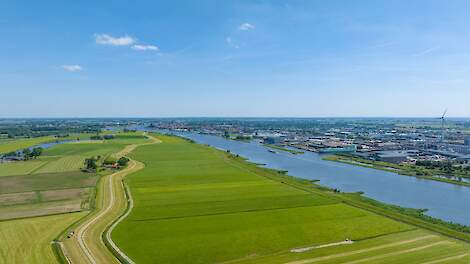Hoe bacteriën stikstofverlies kunnen beperken en bijdragen aan een gezonde bodem