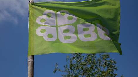 Stelling: Het is positief dat Caroline van der Plas het partijleiderschap loslaat, zodat ze nog beter voor de boeren kan opkomen