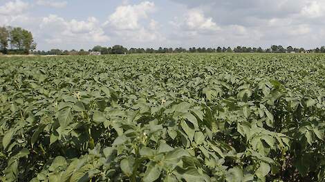 'Maak bezwaar tegen openbaarmaking teeltgegevens'