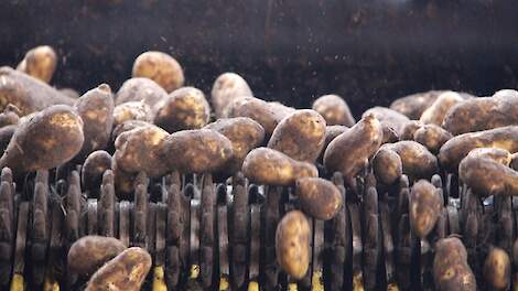 Herinspectie TopCrop-certificaat verlengd naar negen maanden