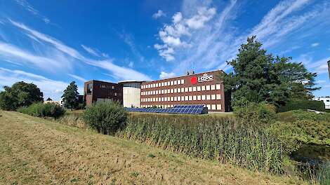 HZPC stelt prognoseprijs pootgoed 2025 vast op 44 euro per 100 kilogram