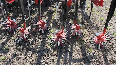 Half miljoen voor biologische praktijkproeven in Noord-Holland