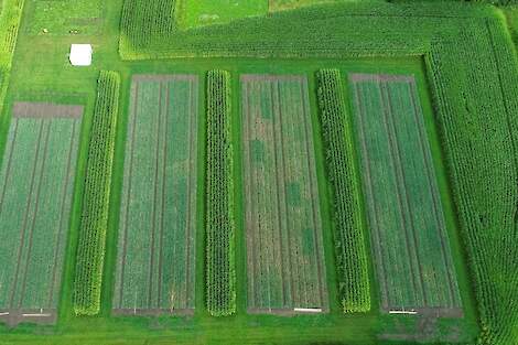 Proevenplatform van BASF in Helvoirt