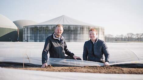 Duurzame ‘vloerverwarming’ in Drentse asperges: ‘Met dit systeem halen we zeker de 10 ton’