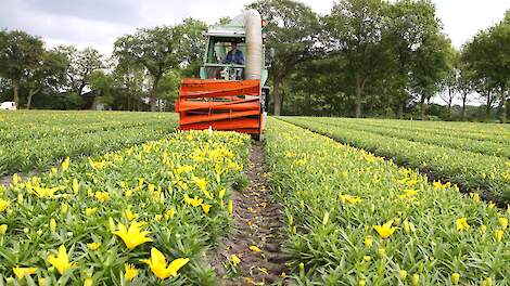 Raad van State versnelt zaak over openbaar spuitregister