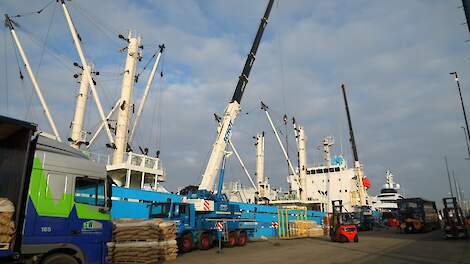 Pootgoedhandel lijdt flink onder gestegen transportkosten door afsluiting Straat van Hormuz